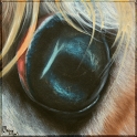 Augenblick eines Lamas; Acryl auf Leinwand;
30 x 30 cm